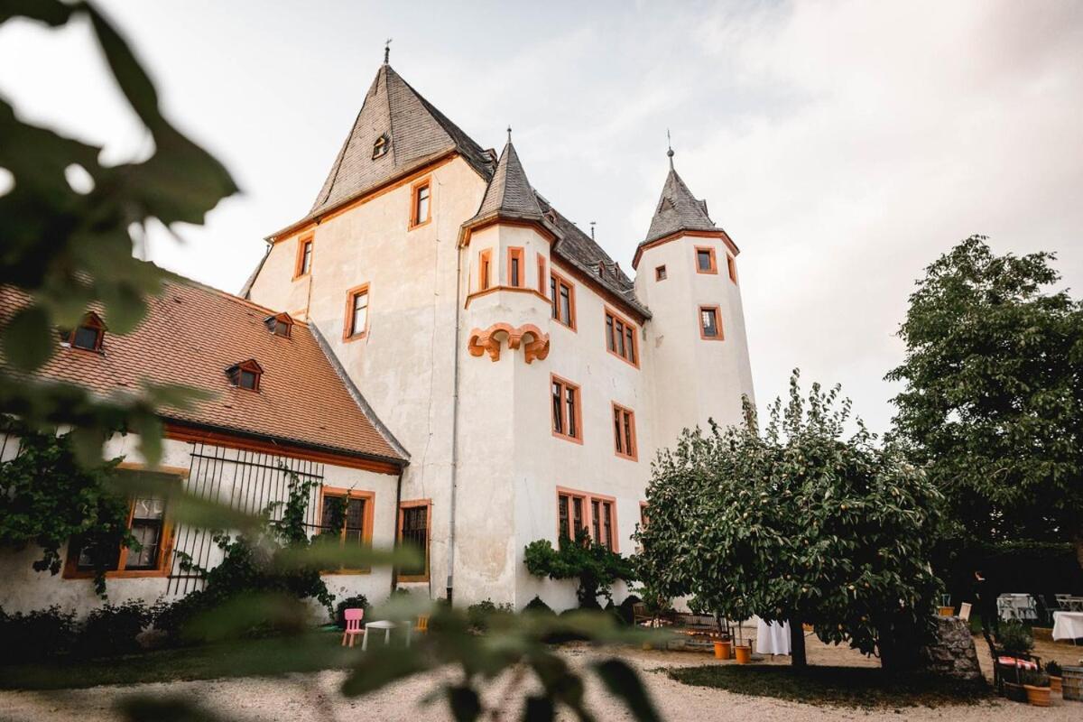 גאיסנהם Schloss Schoenborn מראה חיצוני תמונה