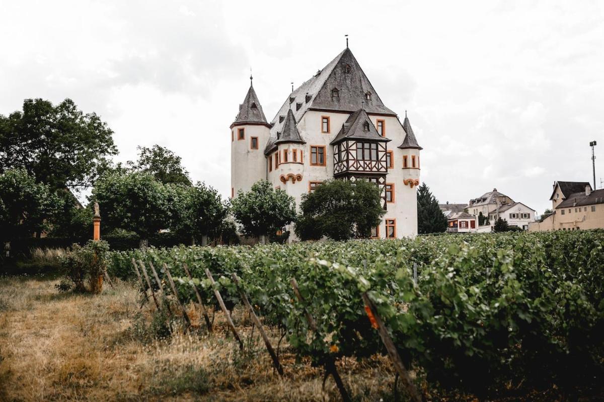 גאיסנהם Schloss Schoenborn מראה חיצוני תמונה